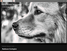 Tablet Screenshot of chriskromer.com
